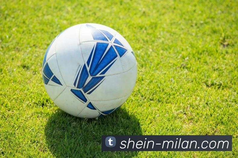 米兰体育APP 封面图